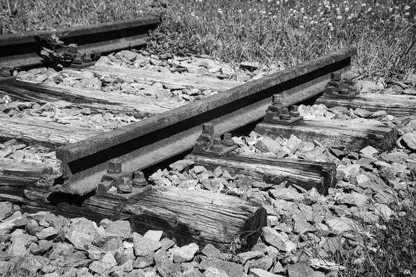 Een Grijswaarden Shot Van Trein Tracks — Stockfoto