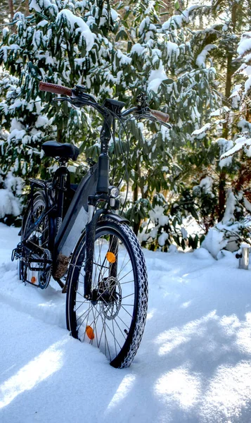 冬日的厚厚的白雪中一辆黑色自行车 在寒冷的天气骑自行车前 后背有月桂树灌木 — 图库照片