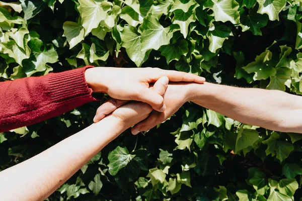 A shallow focus of people holding hands together against a greenery - mental health support concept