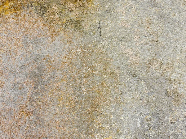더러워진 콘크리트 노란색 곰팡이 표면을 — 스톡 사진