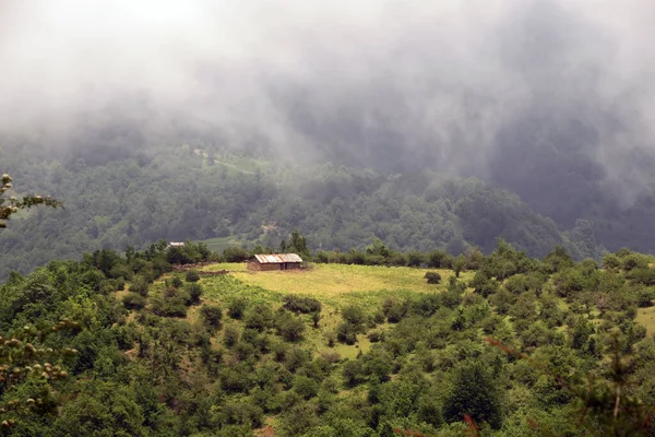 乡间绿意盎然 雾蒙蒙的山丘上的一座建筑物的景观 — 图库照片