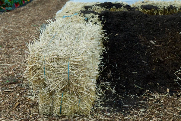 Egy Közeli Kép Szalmáról Amit Mezőn Gyűjtöttek Össze — Stock Fotó