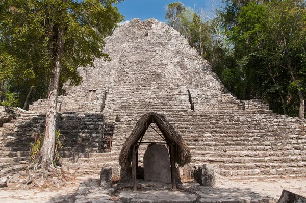 Coba México Mayo 2017 Una Vista Pirámide Mayan Nohoch Mul —  Fotos de Stock