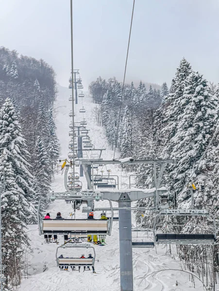 Een Verticale Opname Van Een Skilift Omringd Door Besneeuwd Bos — Stockfoto