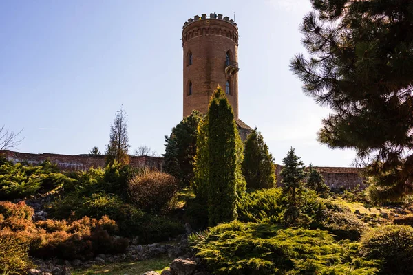 Una Hermosa Vista Torre Chindia Medio Vegetación Bajo Cielo Azul —  Fotos de Stock