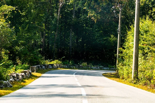 Veduta Una Strada Montagna Tra Gli Alberi Sotto Luce Del — Foto Stock