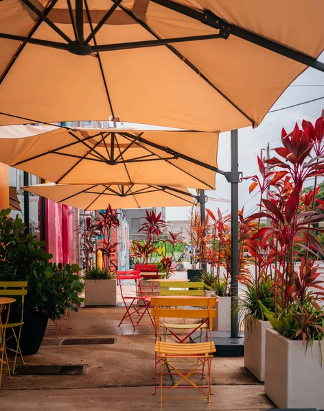 Plano Vertical Una Cafetería Exterior Con Sillas Plantas Bajo Grandes — Foto de Stock