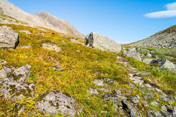 Beautiful Landscape Sunnmore Mountain Covered Autumn Vegetation Norway — 스톡 사진