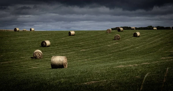 Een Adembenemend Uitzicht Met Gras Bedekte Heuvels Weiden Een Bewolkte — Stockfoto