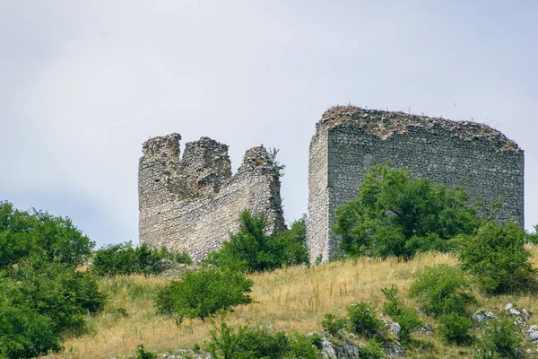 Colpo Basso Una Torre Rocciosa Naturale Circondata Alberi Cima Alla — Foto Stock