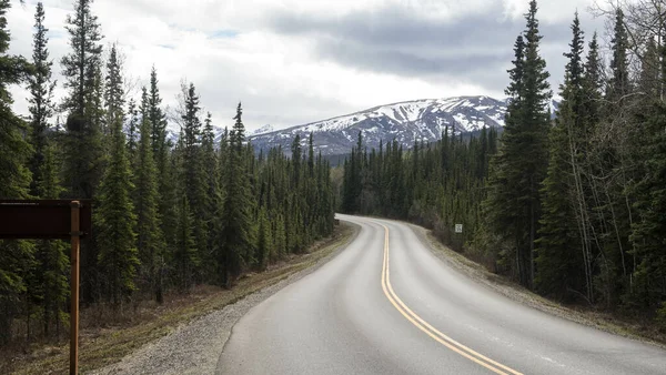 冬を背景に雪の山のある松林を抜ける空の曲がりくねった高速道路 — ストック写真