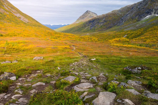 Eine Wunderschöne Landschaft Des Sunnmore Gebirges Bedeckt Von Herbstvegetation Norwegen — Stockfoto