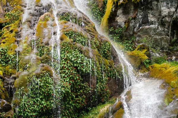 Uma Bela Cachoeira Fluindo Uma Floresta — Fotografia de Stock