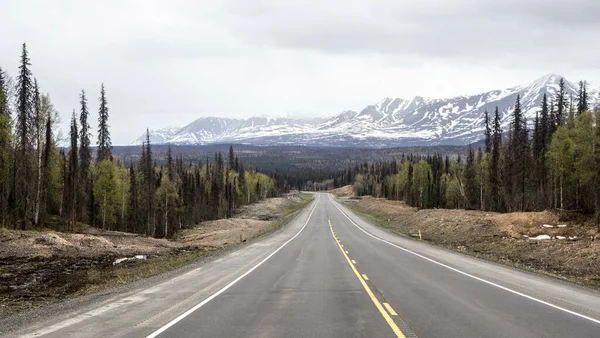 Μια Άδεια Μεγάλη Εθνική Οδό Μέσα Από Πευκοδάσος Χιονισμένα Βουνά — Φωτογραφία Αρχείου
