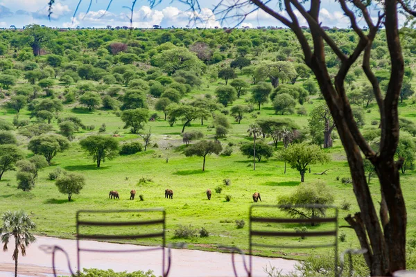 Piękny Widok Otwarcia Tarangire Safari Lodge Północy Parku Narodowego Tanzanii — Zdjęcie stockowe