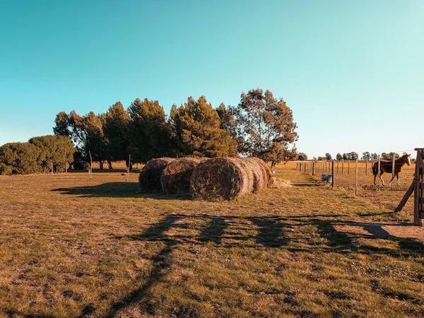 Festői Kilátás Szalmabálák Egy Nyílt Területen Egy Farmon Tiszta Alatt — Stock Fotó