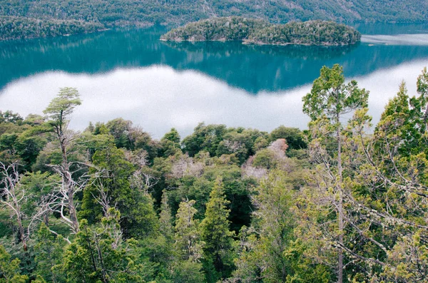 Krásný Výhled Vodu Pobřeží Zeleným Lesem Blízkosti Rio Negro Bariloche — Stock fotografie