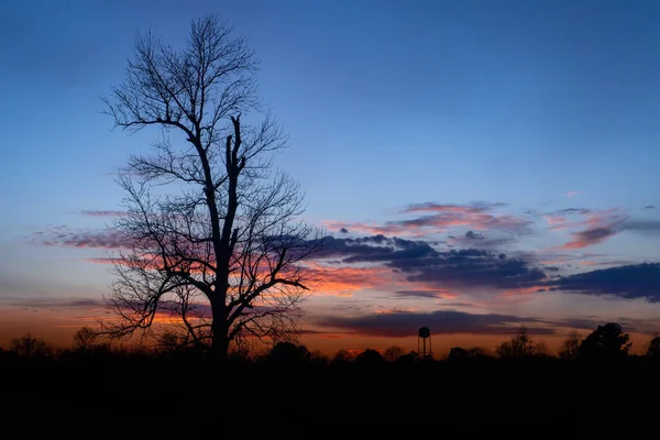 Baum Vor Einem Farbenfrohen Sonnenuntergang — Stockfoto