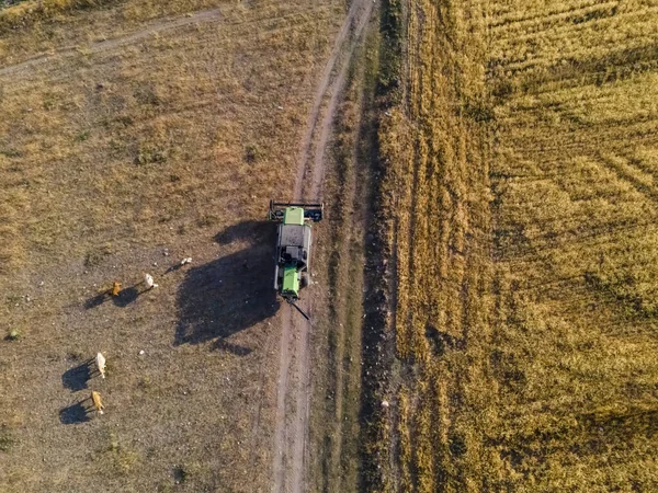 Tarımda Çalışan Tarımsal Makinelerin Havadan Görünüşü — Stok fotoğraf