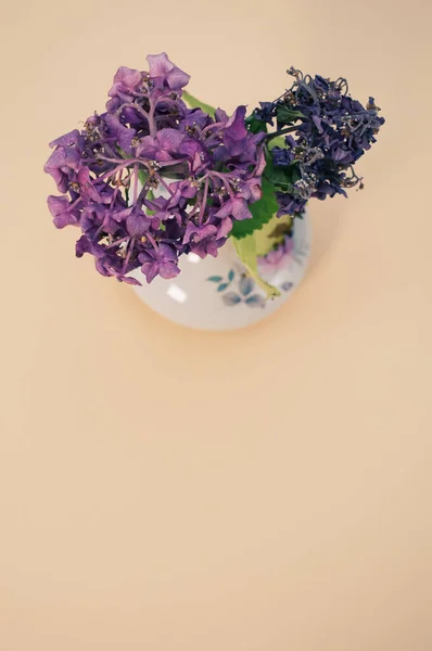 Eine Draufsicht Von Welken Trockenen Violetten Blumen Einer Blumenvase Isoliert — Stockfoto