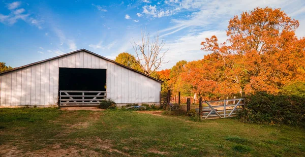 Fall Scene White Barn Colorful Trees Blue Sky — Zdjęcie stockowe