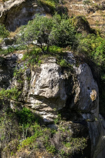 Ein Blick Auf Den Felsenberg Mit Bäumen — Stockfoto