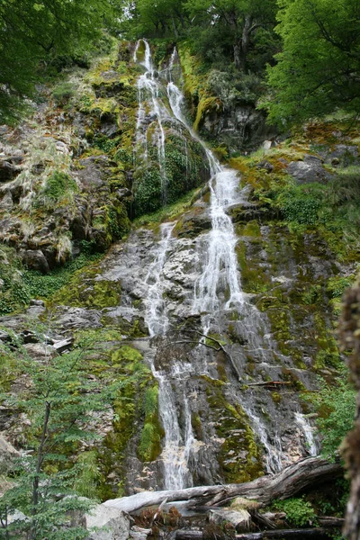 Vertikal Bild Ett Vackert Vattenfall Skog — Stockfoto