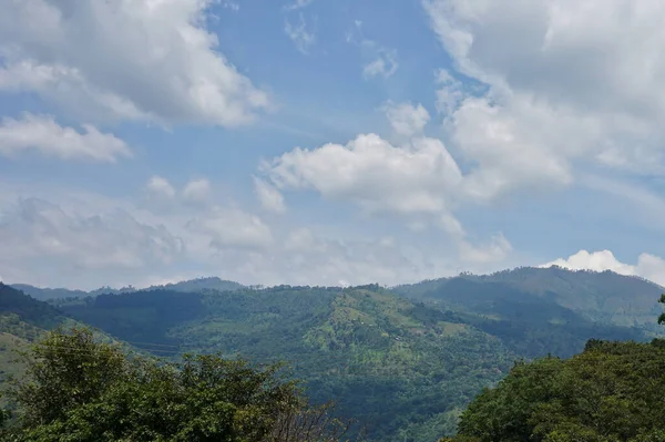 Ein Faszinierender Blick Auf Bergwälder Unter Bewölktem Himmel — Stockfoto