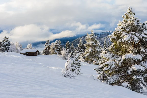 Een Prachtige Foto Van Een Sneeuw Landschap Stryn Sommerski Skigebied — Stockfoto