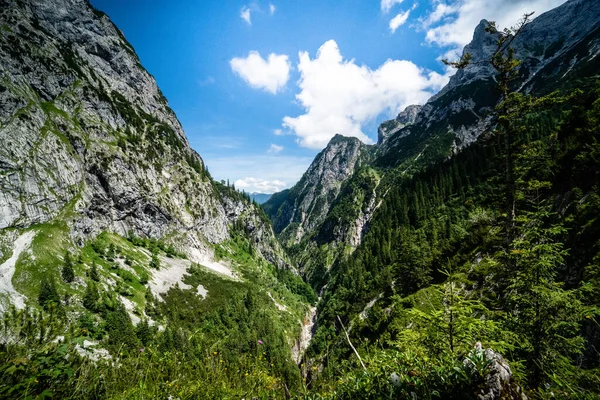 Uma Vista Magnífica Montanha Com Picos Irregulares Árvores Alpinas — Fotografia de Stock