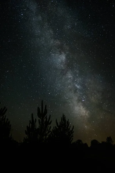 天の川銀河の夜空の下の木の上のシルエット — ストック写真