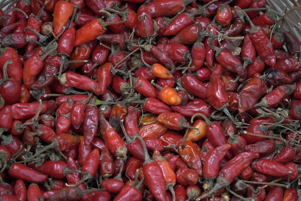 Top View Group Dried Red Chili Ghost Peppers — 图库照片