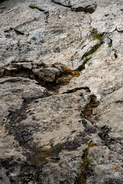 Een Close Van Getextureerde Rotsen Bedekt Met Mos — Stockfoto