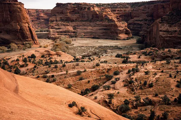 Piękny Krajobraz Kanionu Ścianami Piaskowca Krzewami Czerwoną Glebą — Zdjęcie stockowe