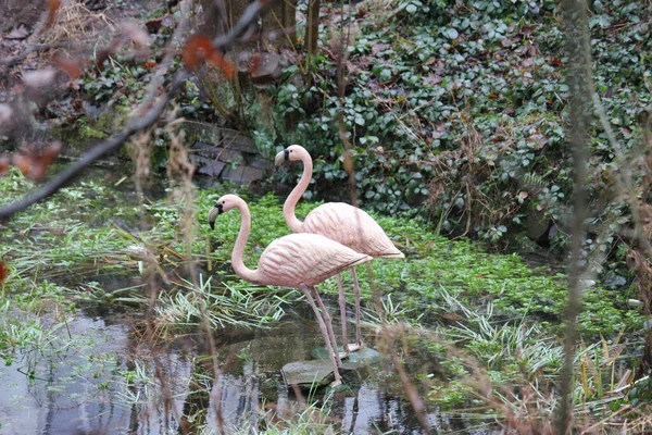 Nahaufnahme Zweier Künstlicher Flamingos Teich — Stockfoto