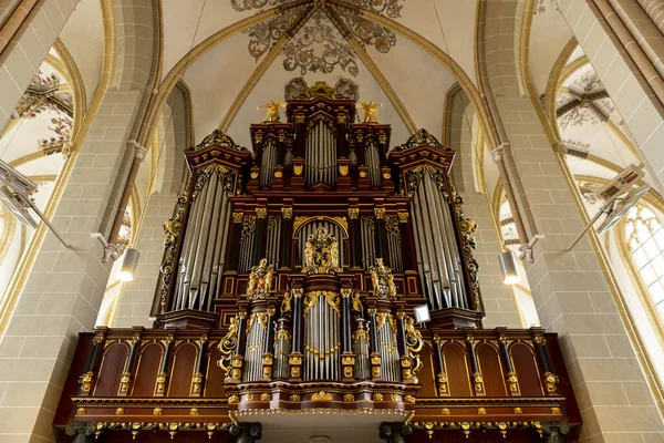 Hohe Korpusbögen Mit Reich Verzierter Orgel Mit Goldenen Ornamenten Auf — Stockfoto