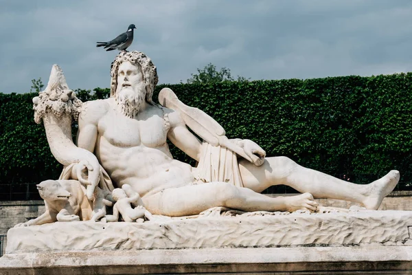 法国巴黎图埃里花园的一座雕像上栖息着一只鸽子的特写镜头 — 图库照片