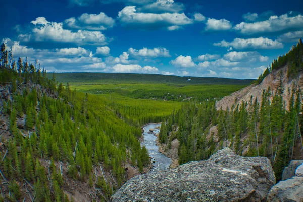 Une Chaude Journée Ensoleillée Parc National Yellowstone Avec Une Rivière — Photo