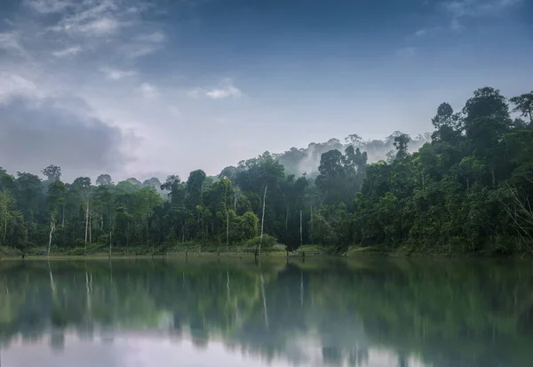 Una Vista Panorámica Lago Bosque Sobre Fondo Nublado — Foto de Stock