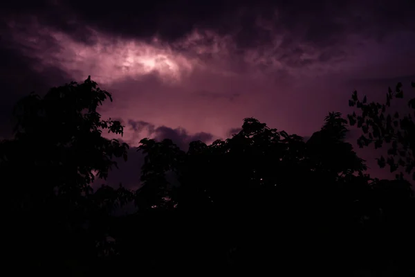 Ett Kusligt Landskap Blixtar Mörk Himmel Över Skogen — Stockfoto