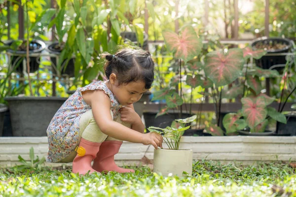Seorang Gadis Kecil Asia Lucu Bermain Dengan Tanaman Pot — Stok Foto