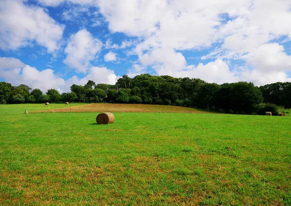 Die Ländliche Landschaft Südfrankreichs Sommer — Stockfoto