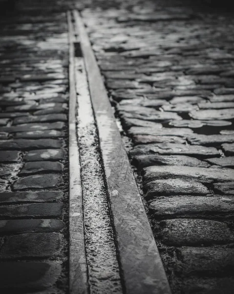 雨の後の石畳の歩道の垂直ショット — ストック写真