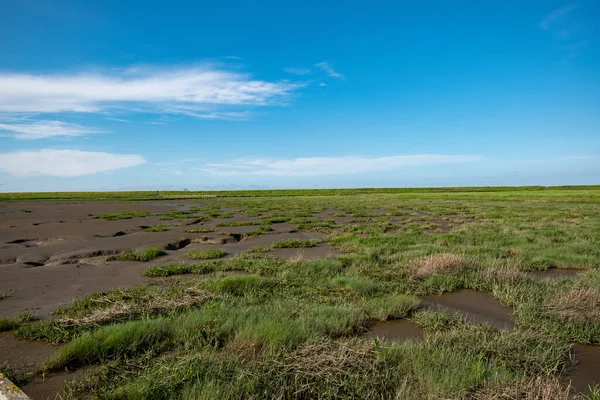 Vacker Utsikt Över Våtmarken Och Den Blå Himlen — Stockfoto