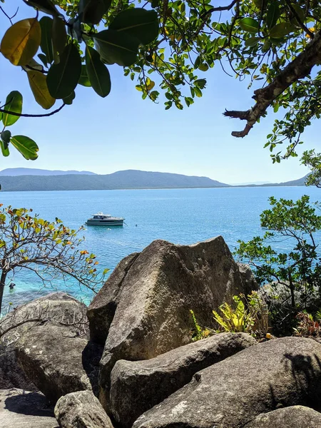 Belo Lago Atrás Das Árvores — Fotografia de Stock