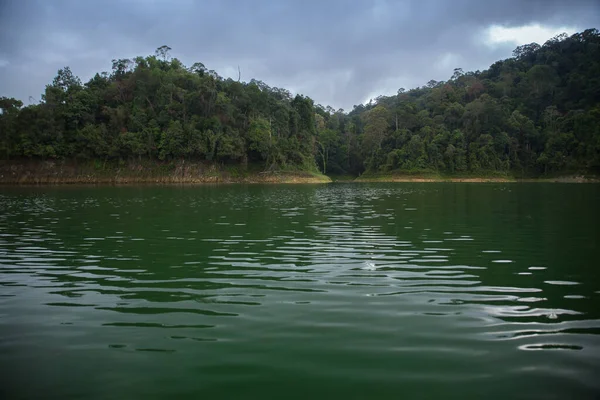 在多云的天空背景下森林中的湖景 — 图库照片