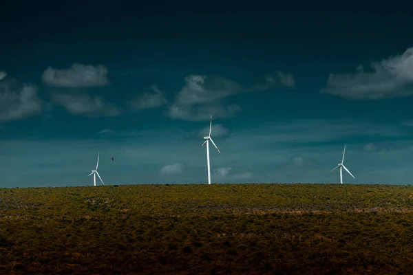 Ein Grünes Feld Mit Windrädern Auf Düsterem Hintergrund — Stockfoto