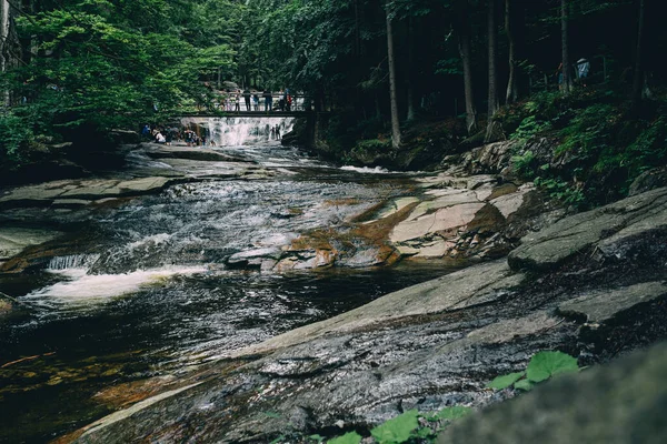 森林里一条湍急流淌的河流的特写 — 图库照片