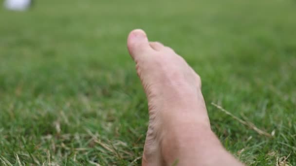 Pieds Des Jambes Homme Sur Herbe — Video