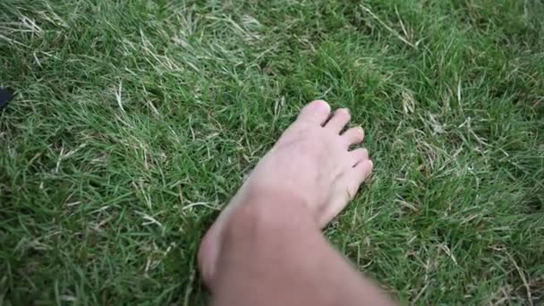 Piedi Delle Gambe Una Donna Erba Verde — Video Stock